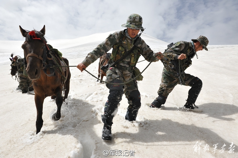 烘焙电子秤选购指南，7款电子秤实测让你告别买买买误区 